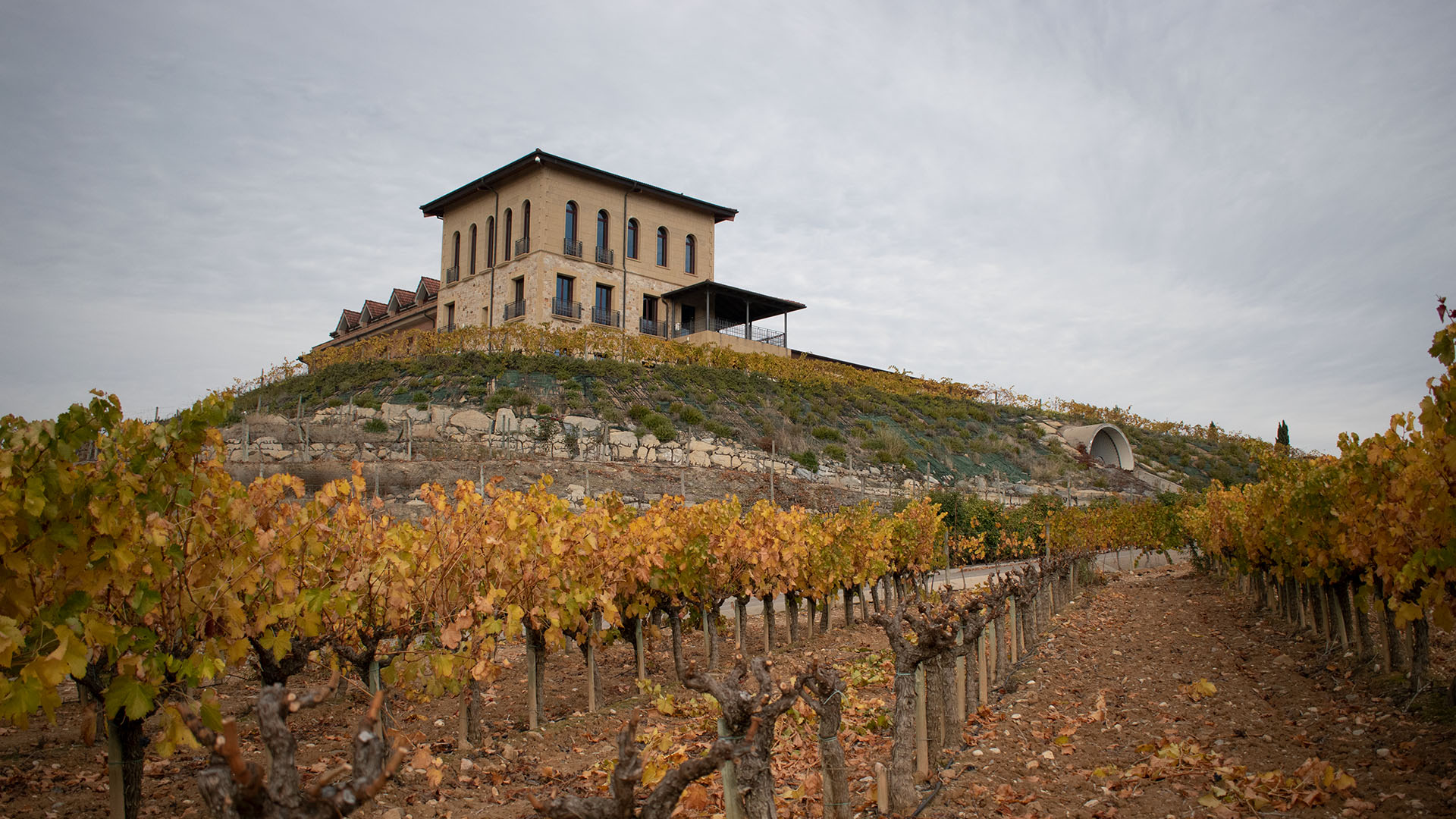 Fondo Bodegas Manzanos Azagra