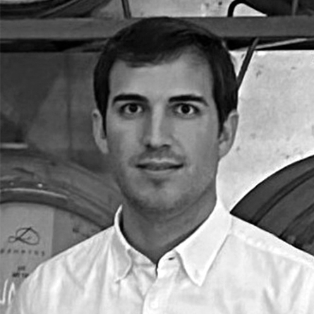 Victor Fernandez de Manzanos